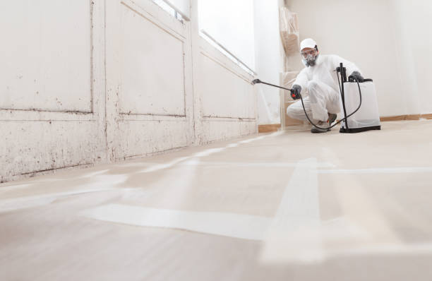 24/7 Emergency Commercial Mold Remediation experts in Silver Spring, MD