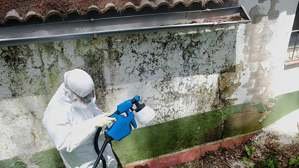 Top rated local Commercial Mold Remediation specialists in Silver Spring, MD